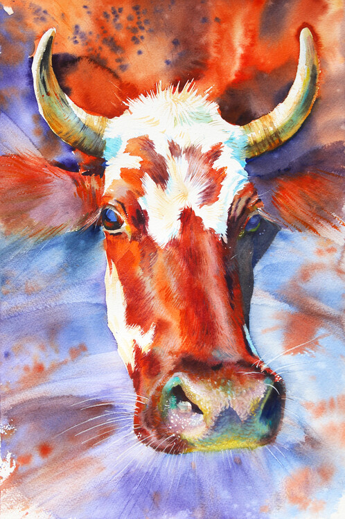 Illustration Cow
