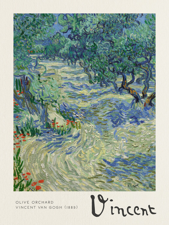 Obrazová reprodukce Olive Orchard - Vincent van Gogh, (30 x 40 cm)