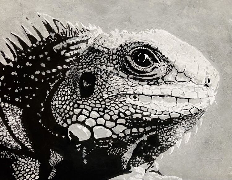 Obraz na plátně Lizard