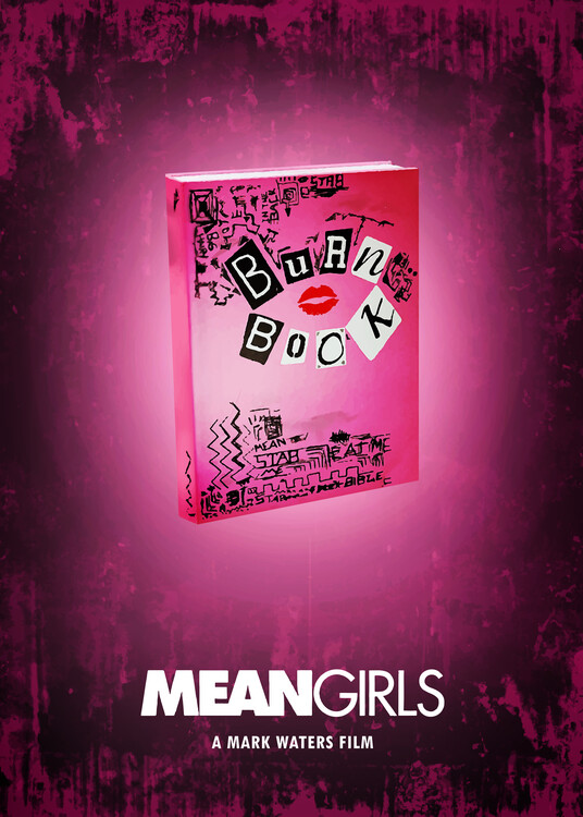 Burn Book Mean Girls its full of secrets Burn Book Notebook  size  85x11 inch 120 pages Matt CoverMean Girls Burn Books Large Edition  special  AKAGAMI Amazoncouk Books