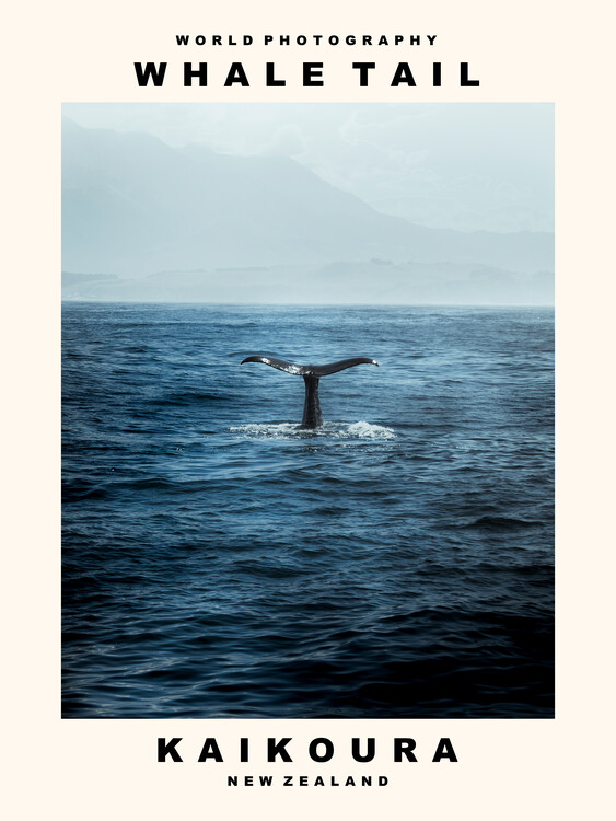 Art Photography Whale Tail (Kaikoura, New Zealand)