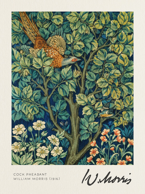 Obrazová reprodukce Cock Pheasant - William Morris, (30 x 40 cm)