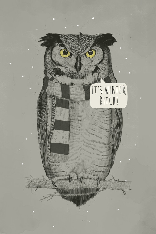 Illustration It's winter, bitch!