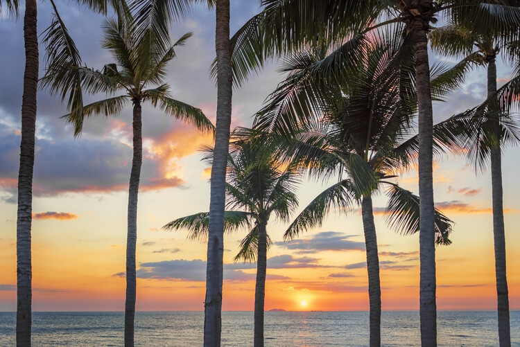 Konstfotografering Tropical Sunset
