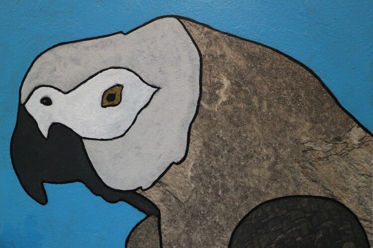 Illustration Grey parrot
