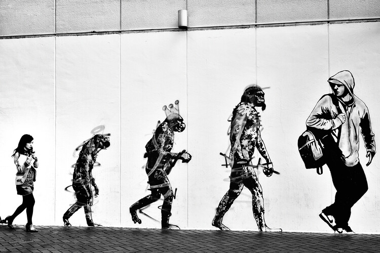 Valokuvataide Evolution