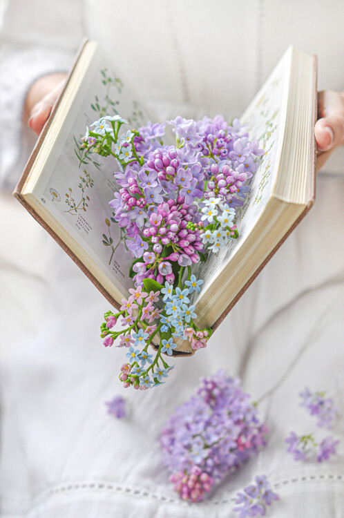 Fotografie de artă Lilac in the book