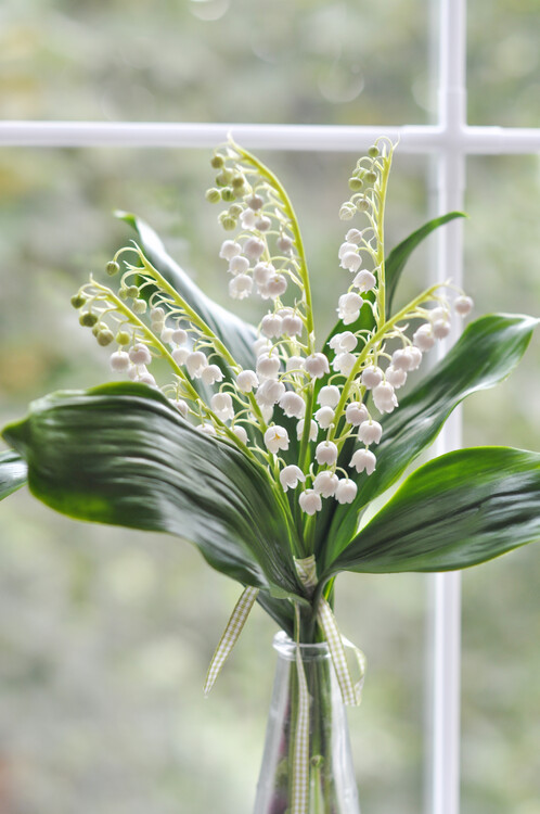Arte Fotográfica Bouquet lily of the valley