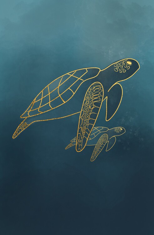 Turtles Posters & Wall Art Prints