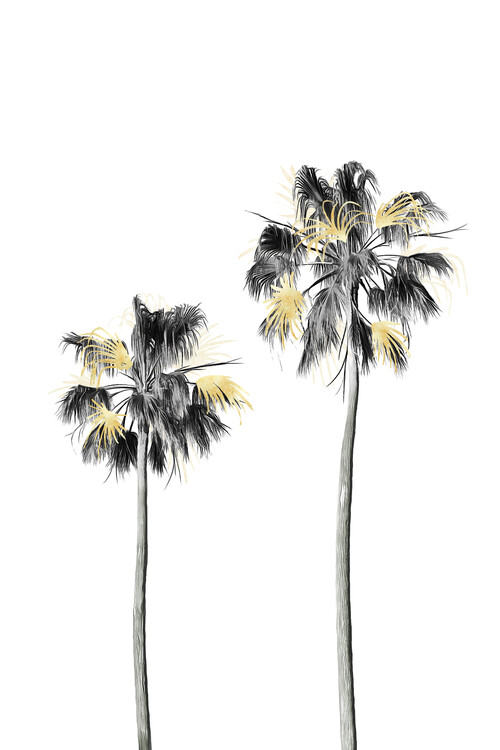 Umělecká fotografie Palm Tree Black, White and Gold 01