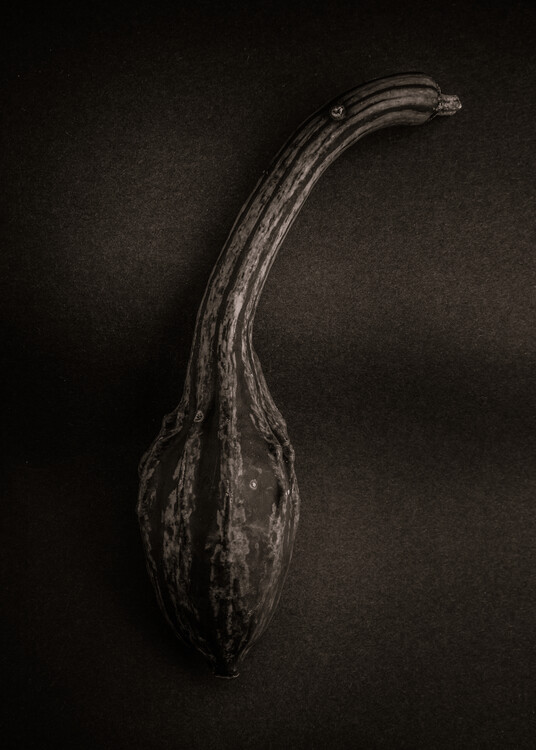 Art Photography Gourds No 10