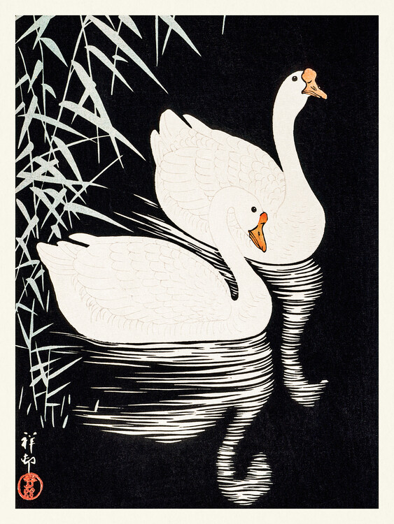 Obrazová reprodukce White Chinese Geese (Japandi Vintage) - Ohara Koson, 30 × 40 cm