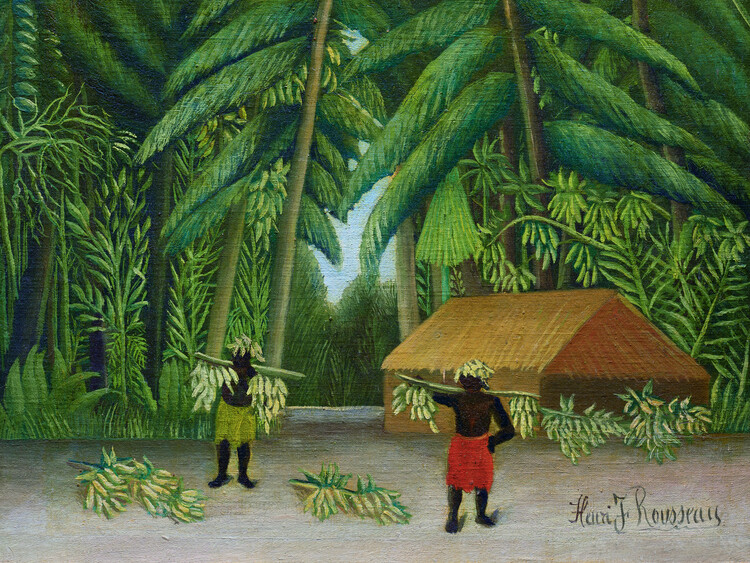 Ilustracija The Banana Harvest (Tropical Jungle Landscape) - Henri Rousseau