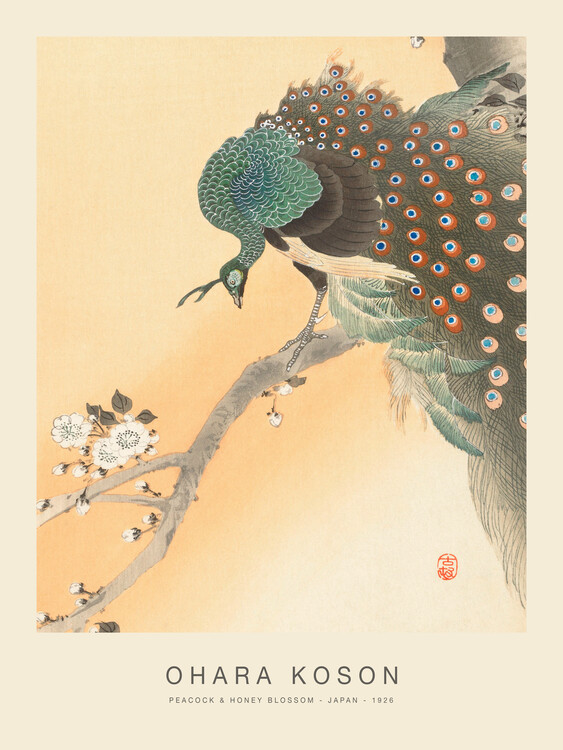 Reprodução do quadro Peacock & Honey Blossom (Special Edition) - Ohara Koson