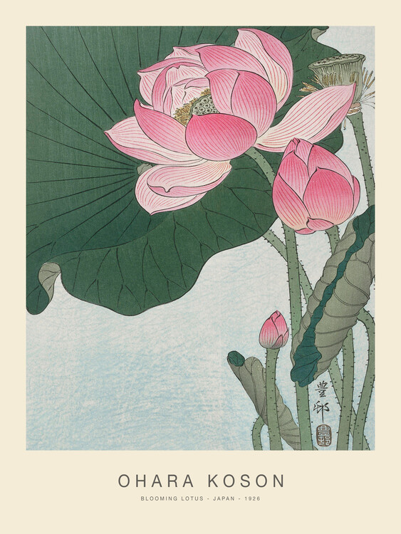 Reprodukcja Blooming Lotus (Special Edition) - Ohara Koson