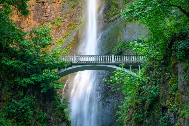 multnomah falls wallpaper