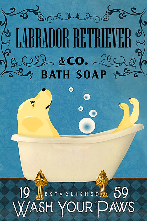 Canvas Print Bath Soap Company Labrador Retriever