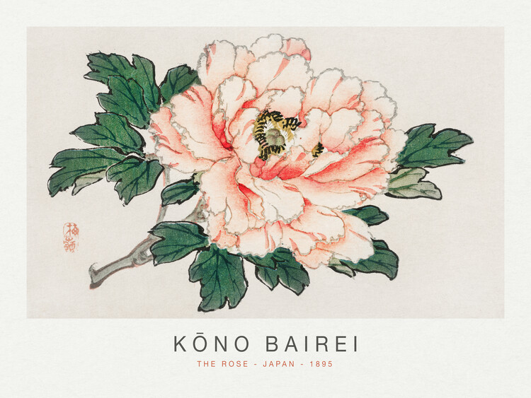 The Rose (Special Edition Japandi) - Kōno Bairei | Reproductions of ...