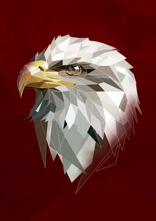 Illustrazione Eagle- dark background