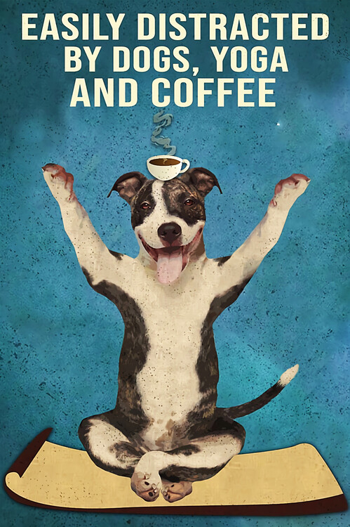 Ilustrace Dictracted By Dogs Yoga And Coffee Pit Bull Vertical Poster
