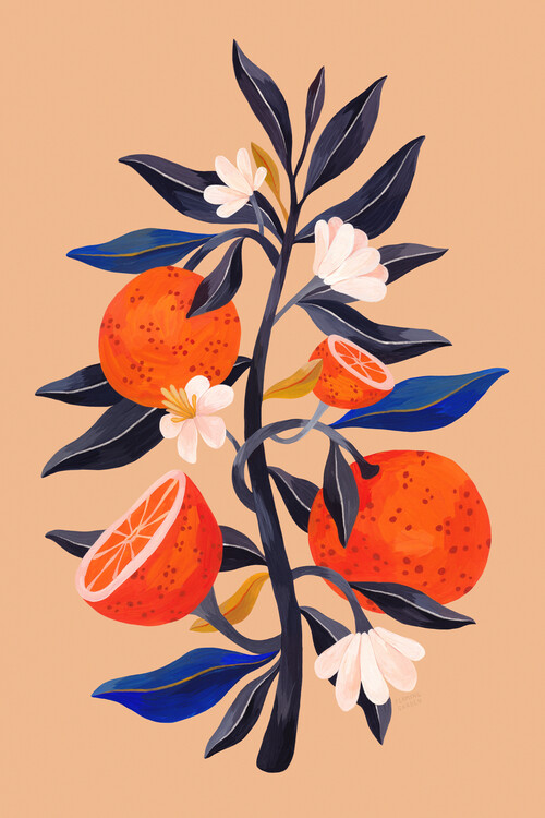 Illusztráció Flaming Garden - Orange Tree