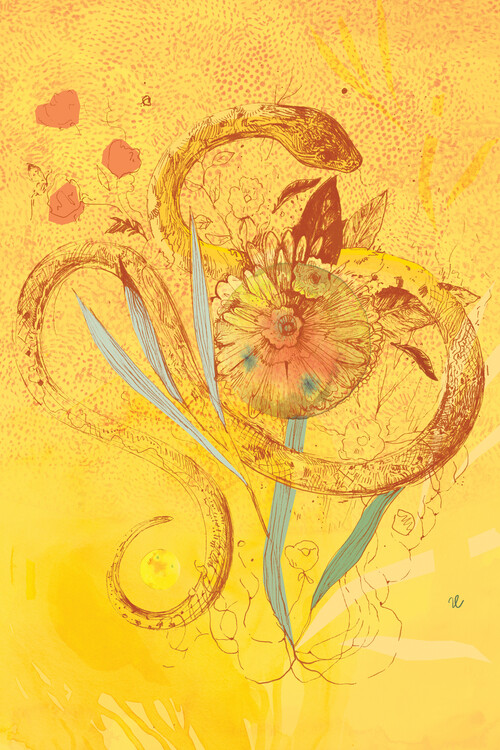 Kuva Justyna Caputa - Late Summer