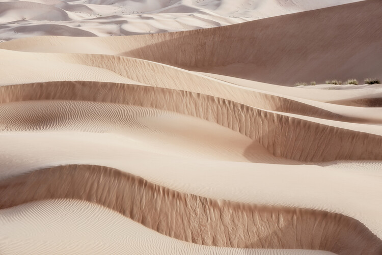 Kunstfotografie Wild Sand Dunes - Waves