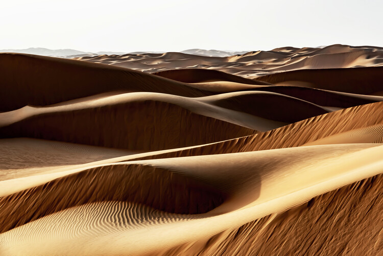 Wild Sand Dunes - End of the Day | Posters, Art Prints, Wall Murals | +250  000 motifs