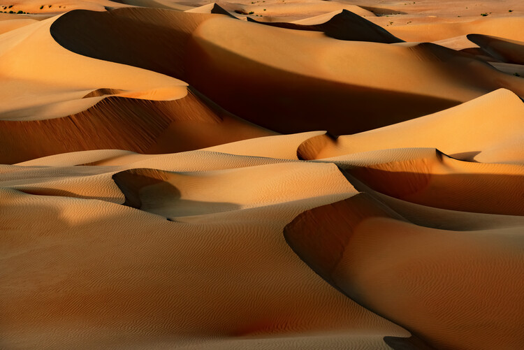 Konstfotografering Wild Sand Dunes - Sandy Brown