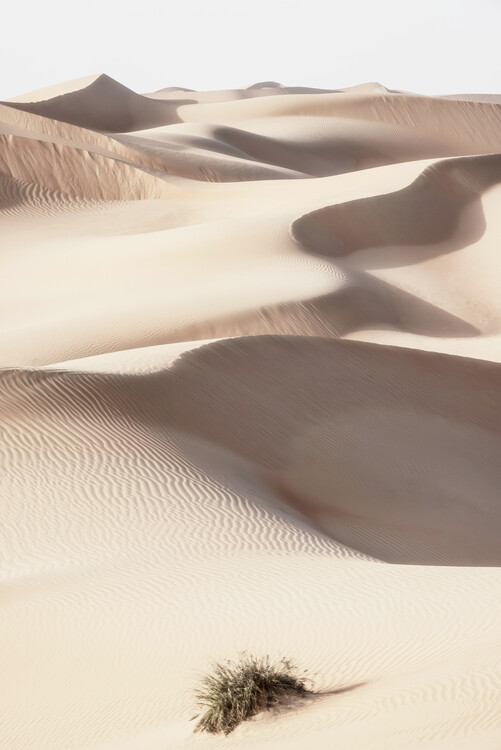 Konstfotografering Wild Sand Dunes - Skin Sand