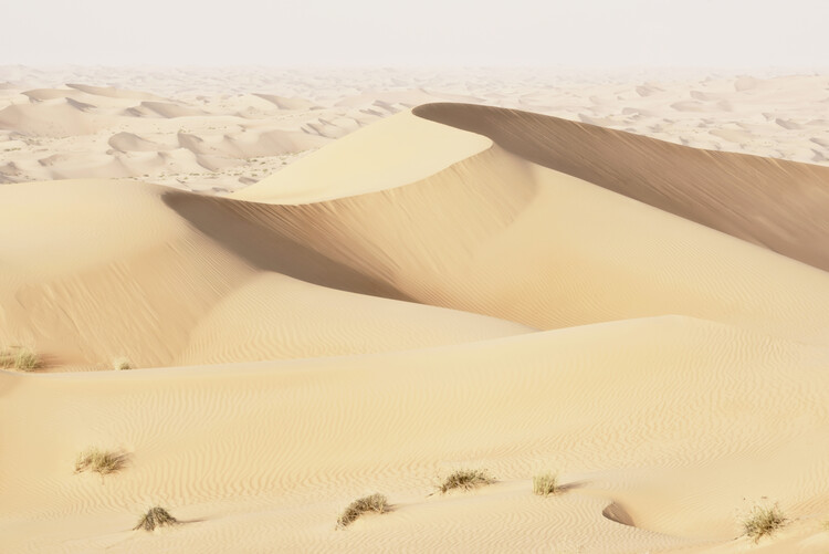 Umělecká fotografie Wild Sand Dunes - Topaz Desert