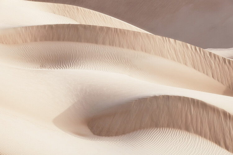 Konstfotografering Wild Sand Dunes - Drift