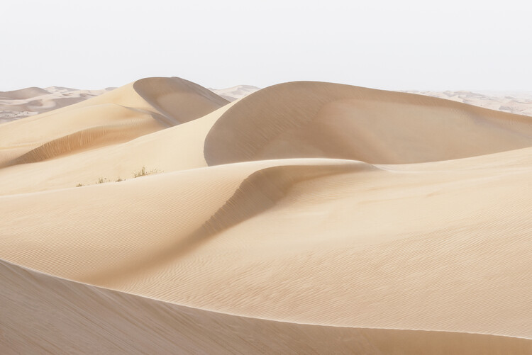 Konstfotografering Wild Sand Dunes - Sand Skin