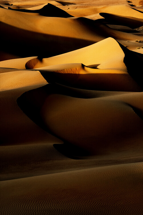 Art Photography Wild Sand Dunes - Last Rays