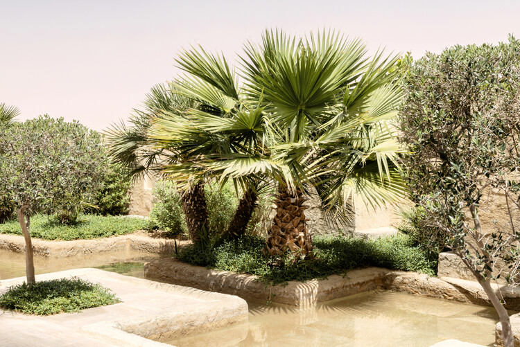 Art Photography Desert Home - Oasis Garden