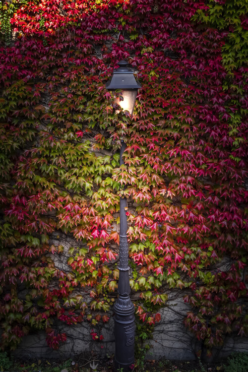 Art Photography Beautiful Street