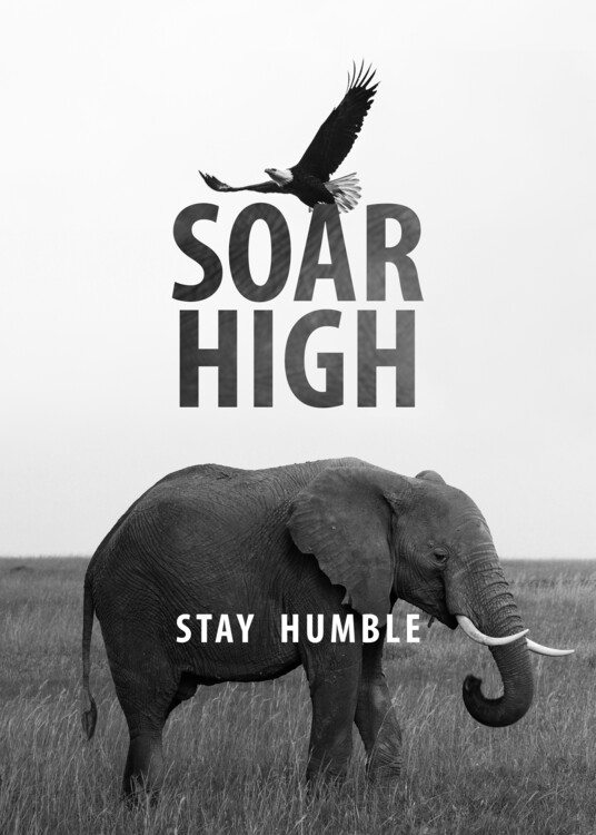 Umělecká fotografie Soar High Stay Humble