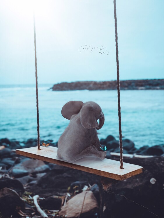 Fotografie de artă Elephant on swing facing the sea