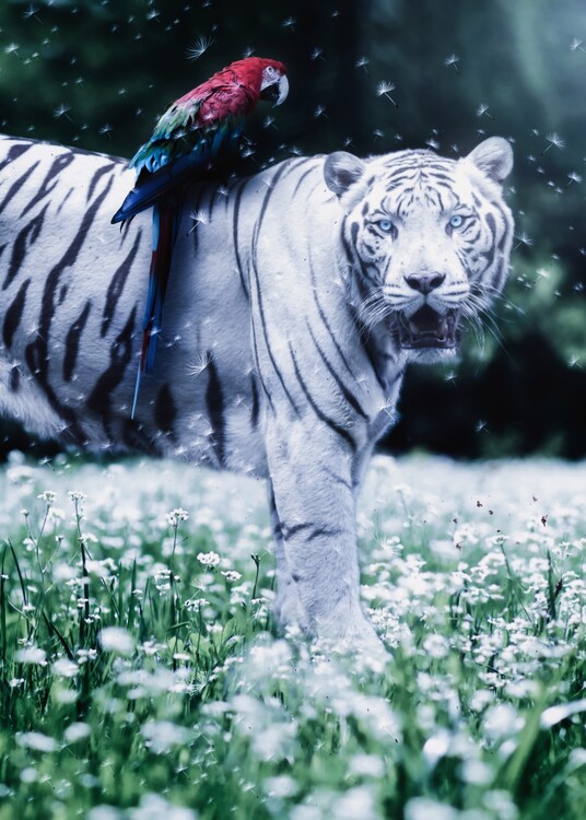 Umělecký tisk White Tiger and Parrow