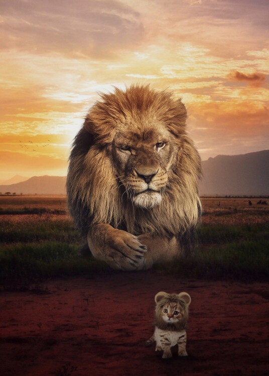 Cute Kitten or Lion Baby | Posters, Art Prints, Wall Murals | +250 ...