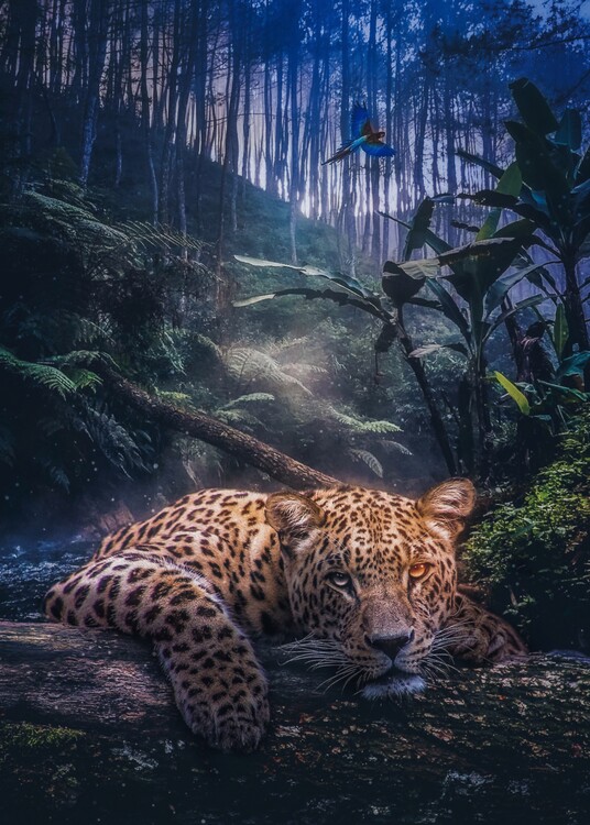 Art Poster Jungle Leopard and Sparrow