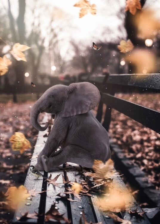 Art Poster Baby Elephant on a bench in autumn