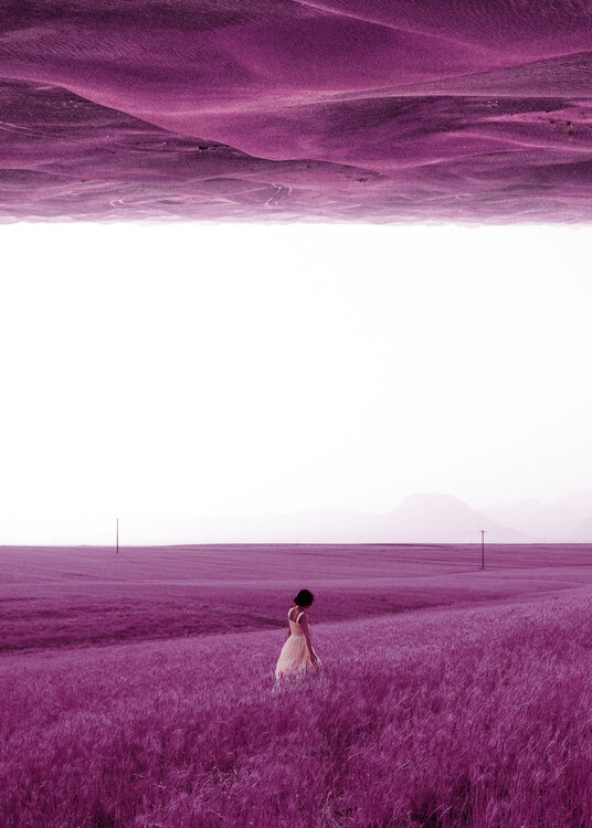 Art Photography Purple Fields