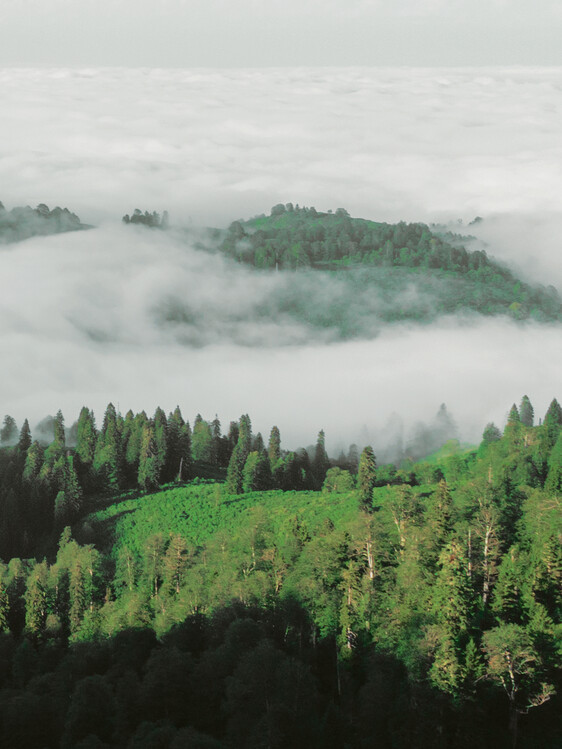 Fotografie de artă clouds in hills