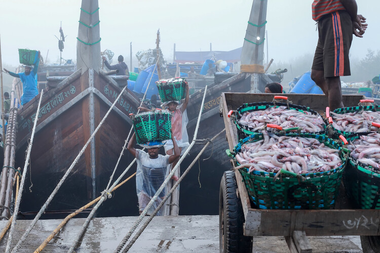 Art Photography Story Of Fishing