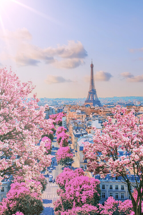 Cuadro en lienzo Paris In April
