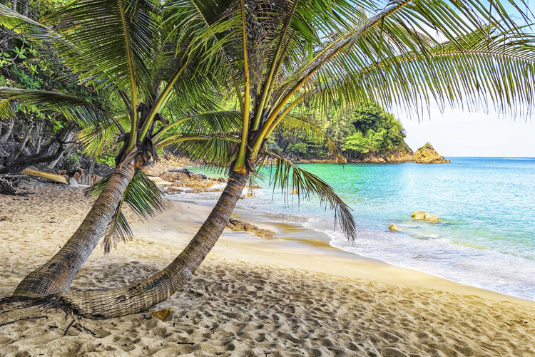 Obraz na plátně Banana Beach