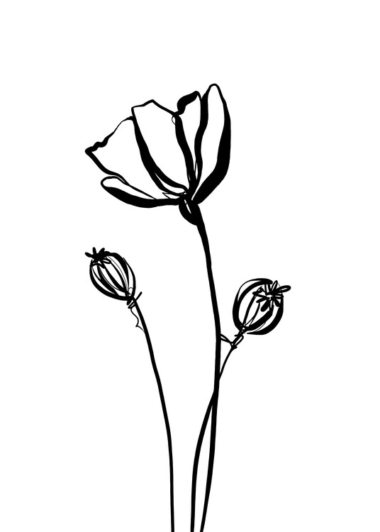 Ilustração Poppy I