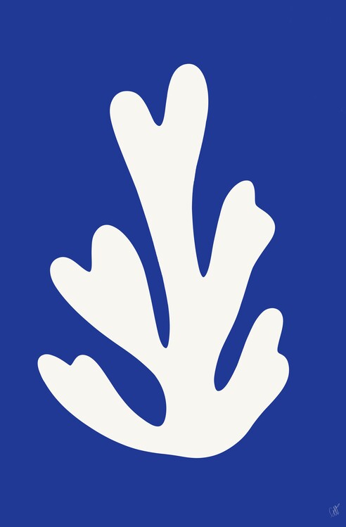 Kuva White leaf