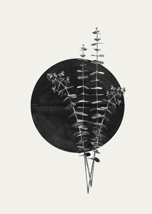 Canvas Print Plant and Black Sun